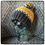 Thumbnail: Cross Country Hat