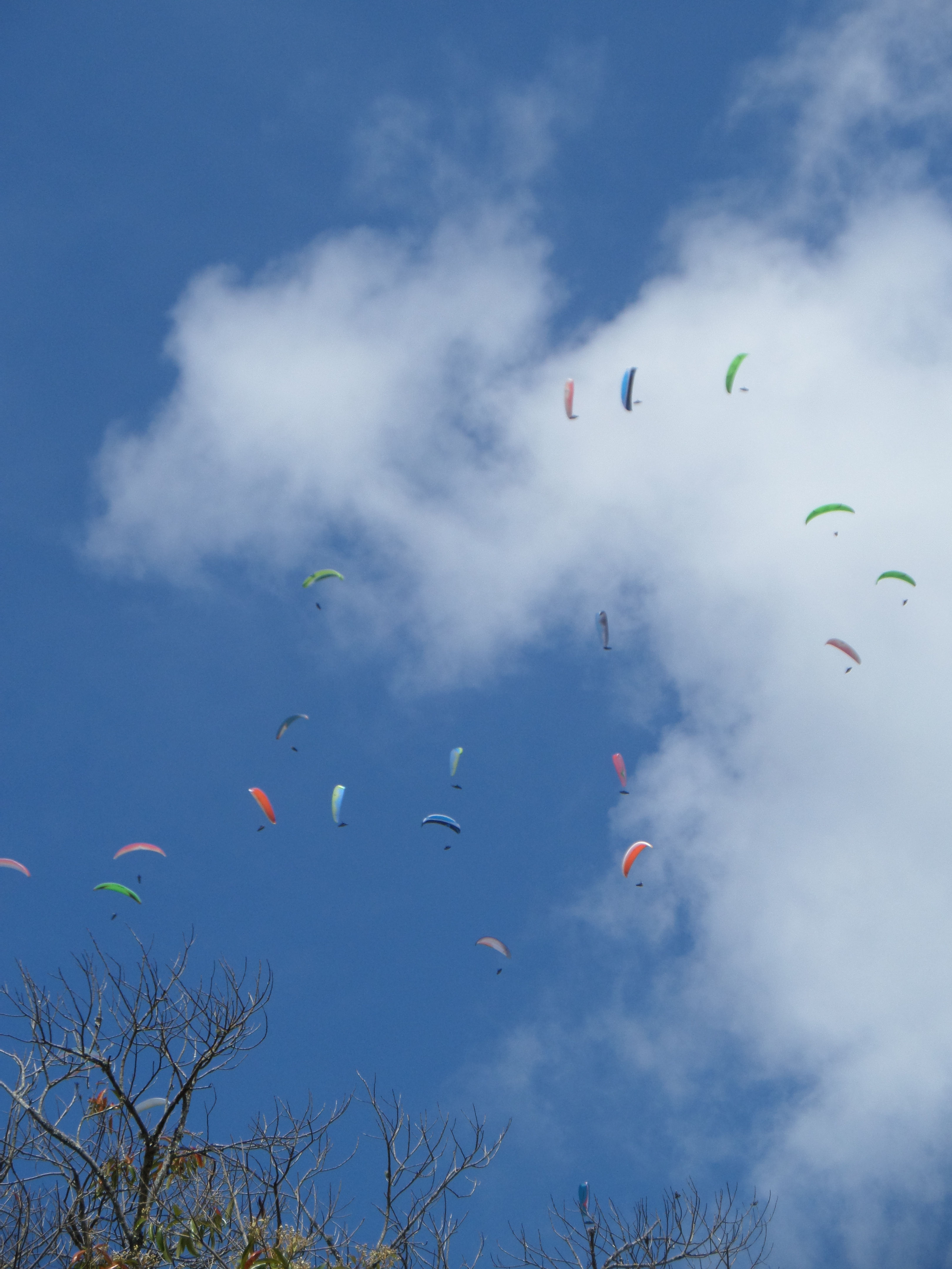 Escola de Parapente/Parapente - CURSO