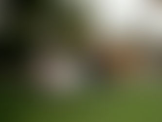 Capturing Fresno: A Wedding Photographer's Take On San Joaquin River Parkway