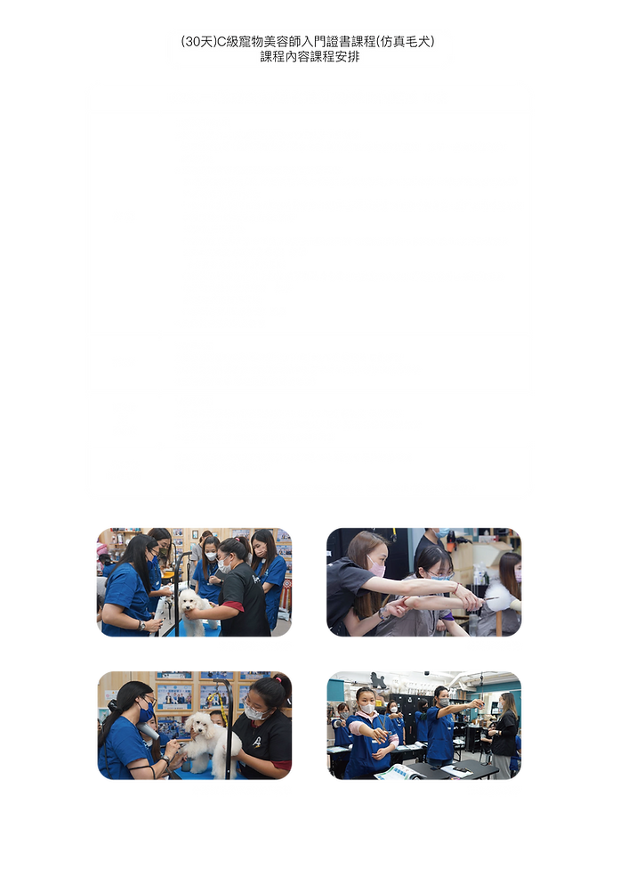 C級寵物美容師課程