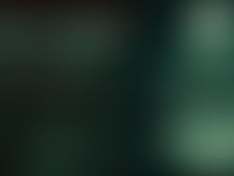 Crisis Management in ERP projects: strategies, methods, and practical tips from an ERP expert