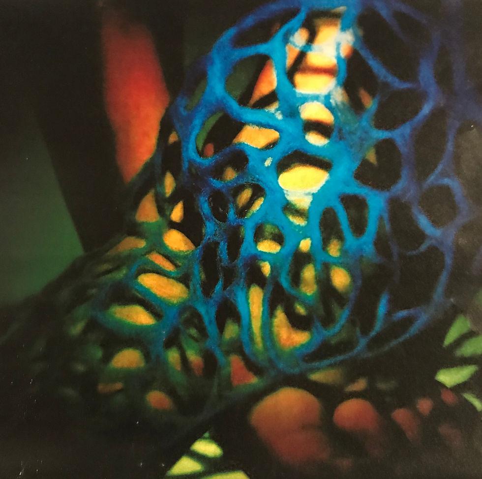 2BCCAA6F-E7F3-410B-9A99-E291586125BD_edited