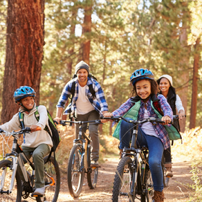 The Procrastination Trap: Why "Wait and See" Is a Dangerous Strategy