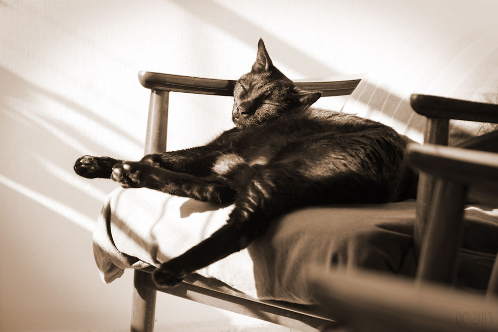 Loki a la Sepia