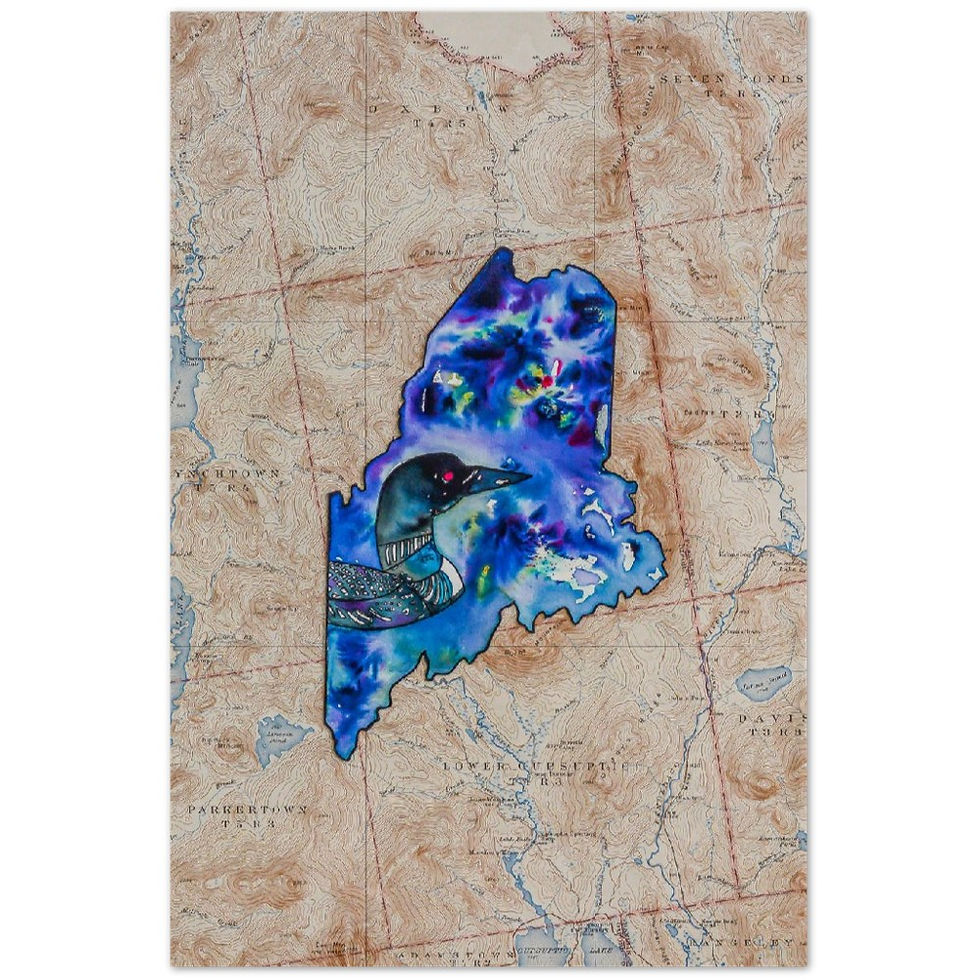 Thumbnail: Maine Loon Watercolor on Vintage Map Print
