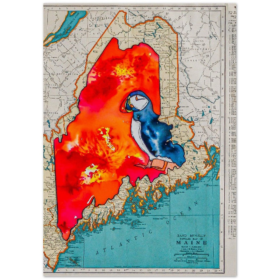 Thumbnail: Maine Puffin Vintage Map