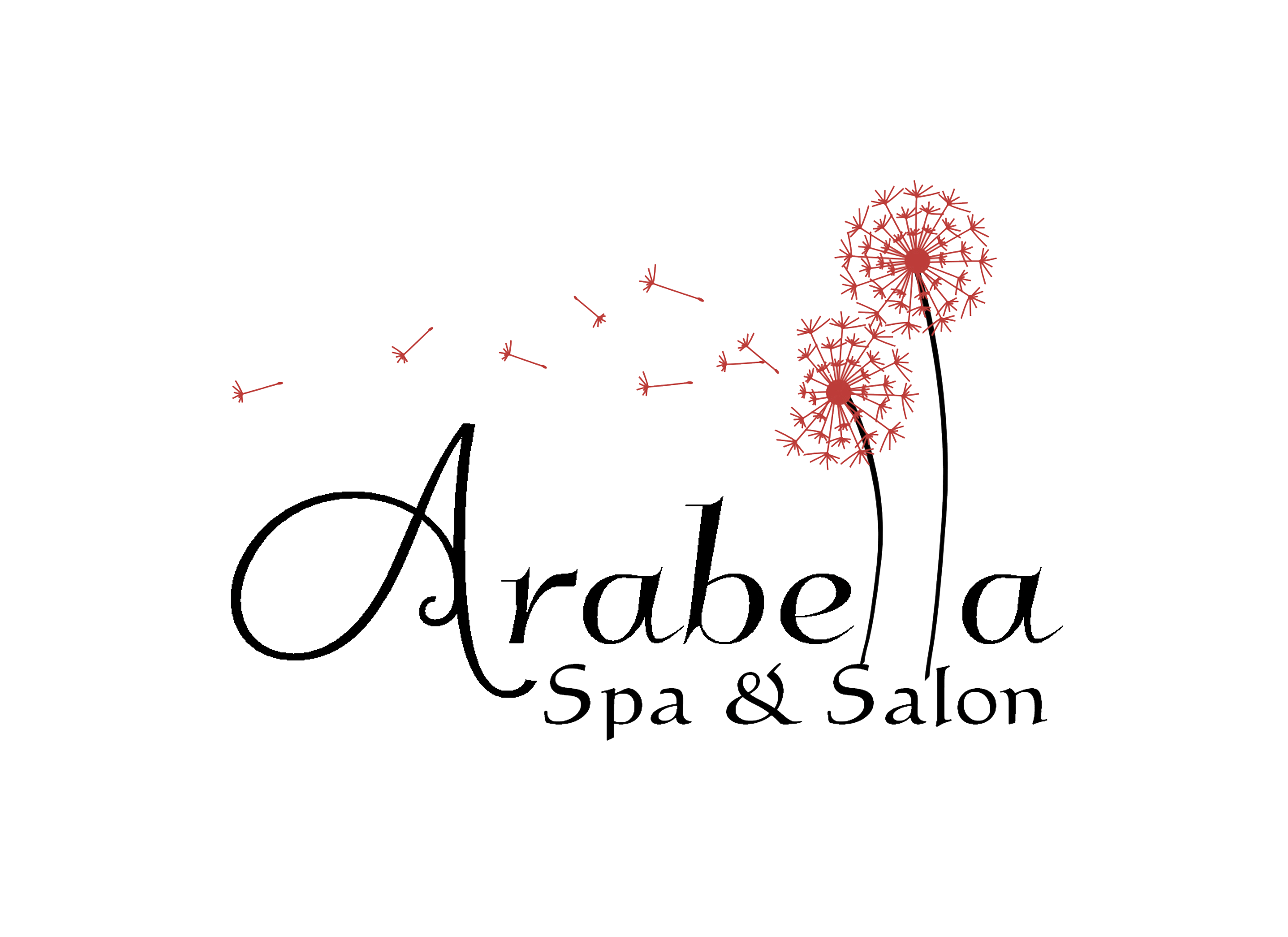 Spa and Salon Green Bay WI, Arabella Spa and Salon, spa green bay wi,