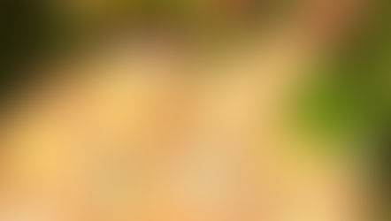 Galletas de aceite de oliva, tomillo y limón