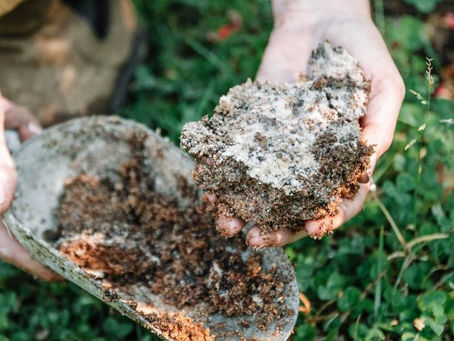 El alma del huerto está bajo la tierra