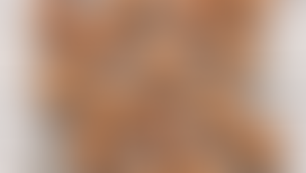 🍪 Galletas de jengibre con piloncillo