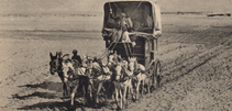 The Development of French Postal Communications in Algerian Sahara