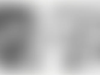 Shirkers or Skilled Labour?