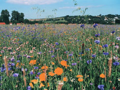 Eaton Lands