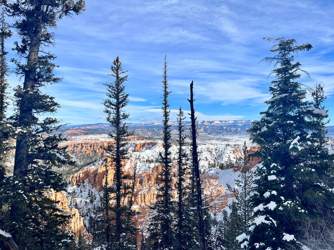 “And now that you don't have to be perfect, you can be good.”
- John Steinbeck