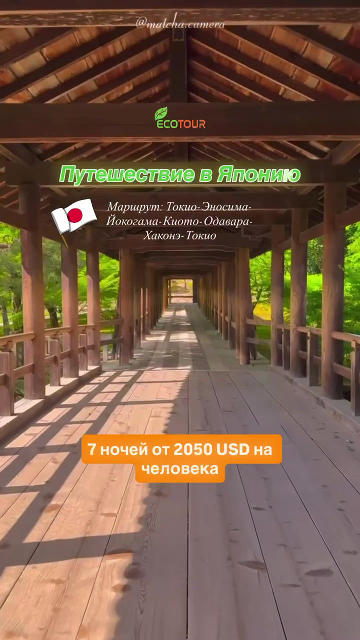 Туры в Японию: Токио и Киото с ECOTOUR из Ташкента