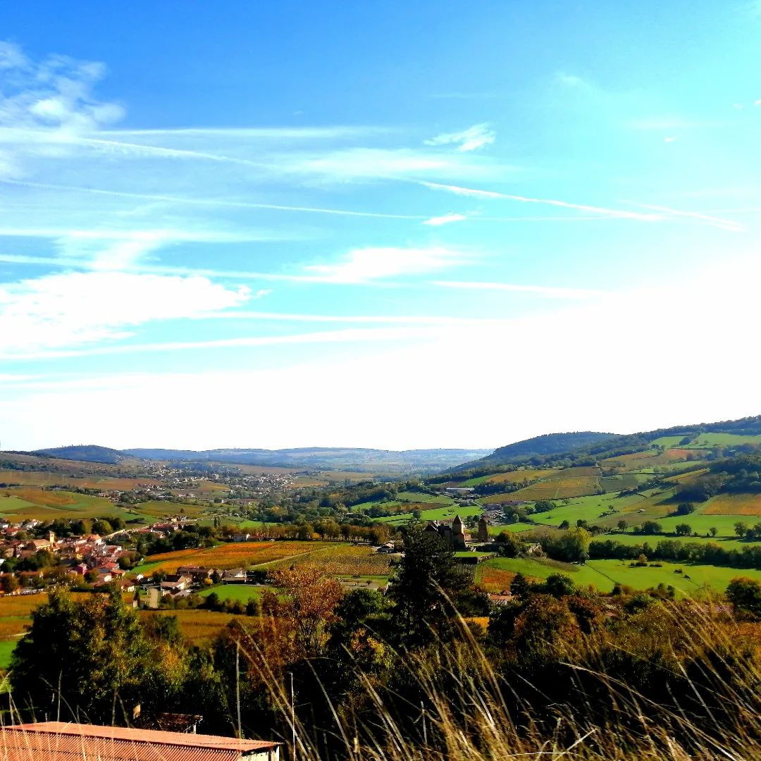 paysage de bourgoge