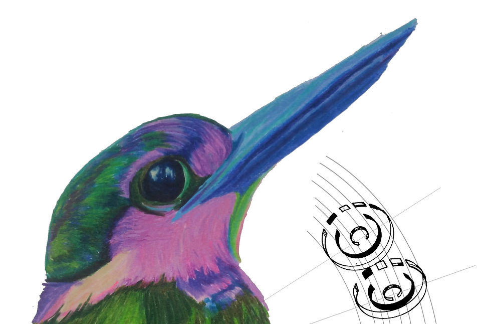 Thumbnail: "Evolve" - The Abstract Kingfisher
