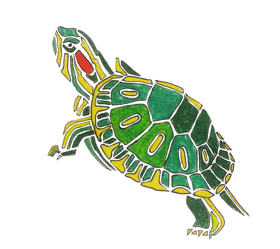 Thumbnail: Turtles | Triptych Series