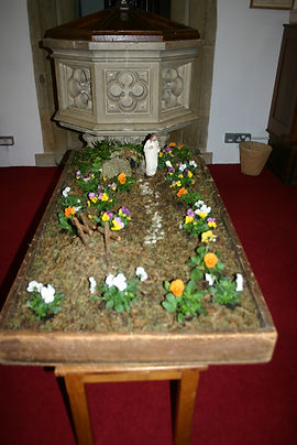 IMG_8495.JPG