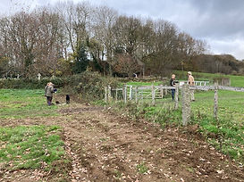 CH fence 3.jpg