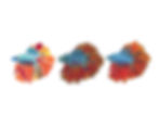 Beta fish | Triptych Series