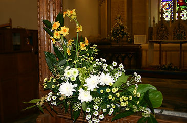 IMG_8500.JPG