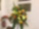 2A1DF3F2-EDE4-44BA-A737-DA820936D4AF.jpeg