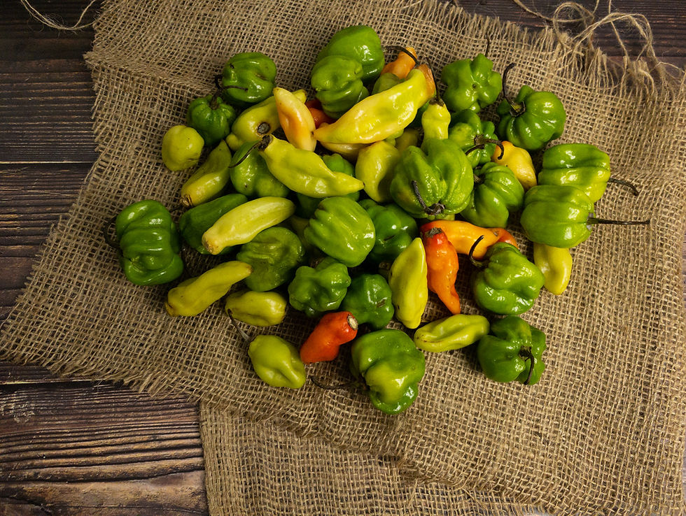 707513AE-8C08-408C-90BD-3FBA4E521430.jpe