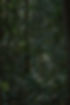 xingu 2021 - john meisner - flagged exports raw-3_edited.jpg