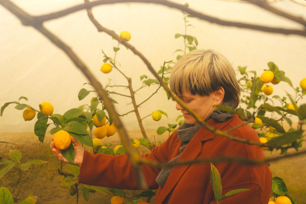 Chef Andrea Carlson picking lemons