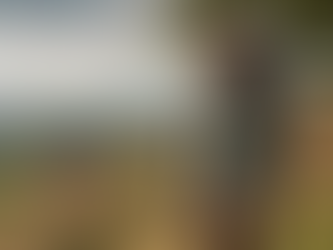 Discover Adventure: Surrey Hills Hiking with Summit Roots