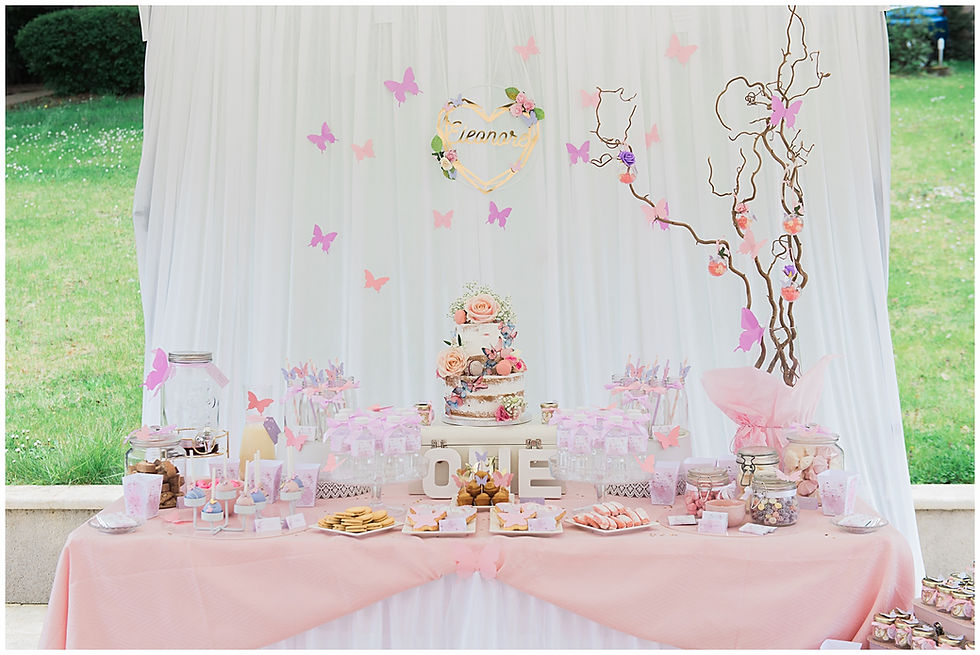 1er anniversaire papillons
