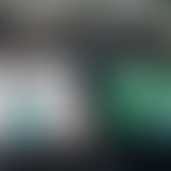 From Tu B’Shevat to Climate Action