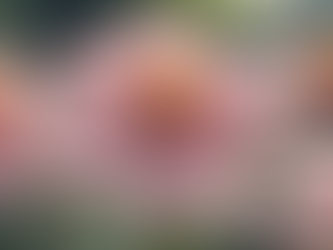 Discover the Ethical Lifestyle with Mr. Reason