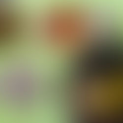 26.01.13(화) 서울 광진구 소재 사업장에서 순대떡강정 & 가락우동 제공~