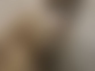 静岡市の読書喫茶店　電気読書座です。