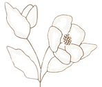 flower_edited_edited.png