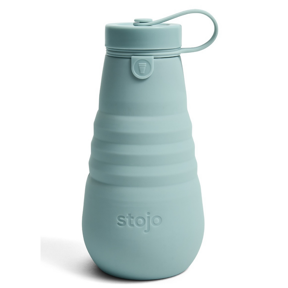 Thumbnail: Stojo Bottle 20 oz