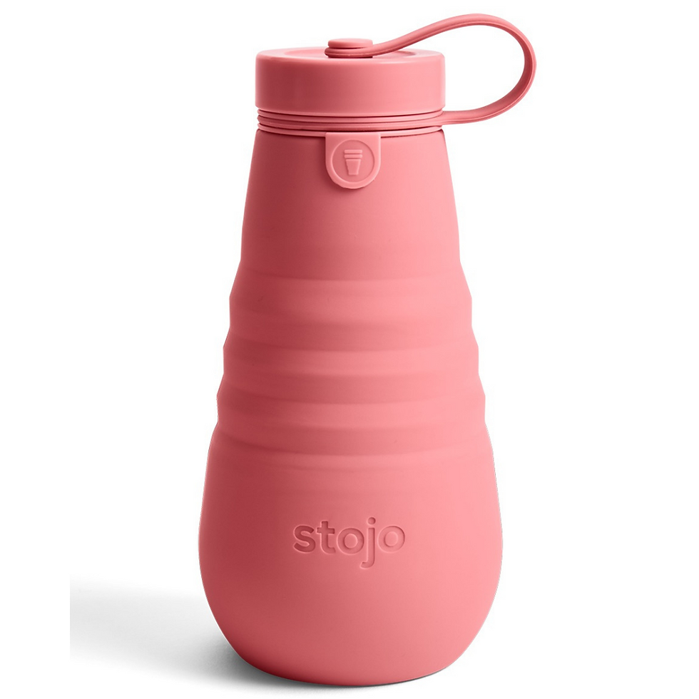 Thumbnail: Stojo Bottle 20 oz