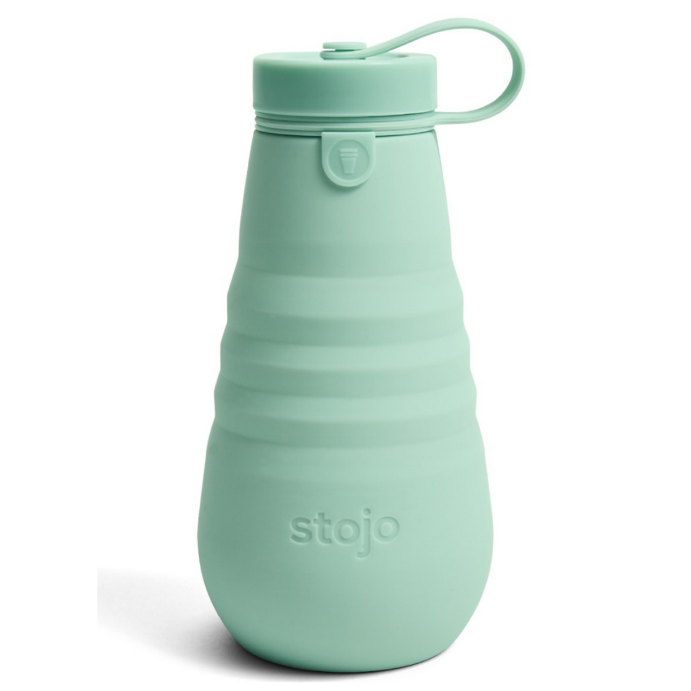Thumbnail: Stojo Bottle 20 oz