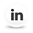 LinkedIn Globe