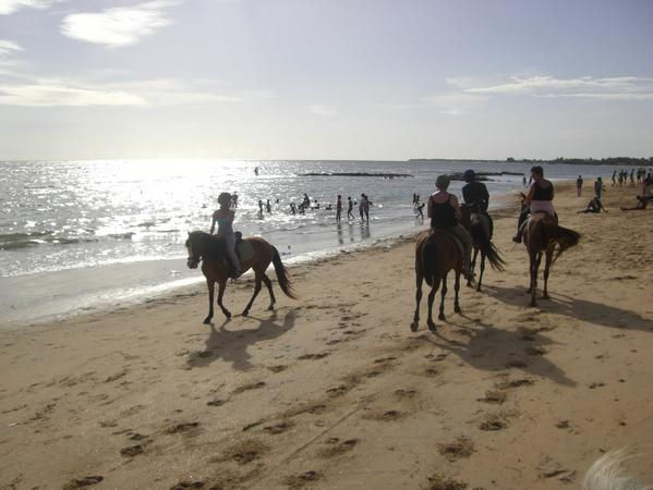 Equitation