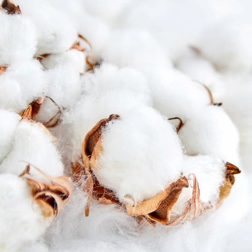 clean linen.webp