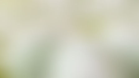 Light, Love, and Connection...