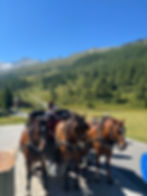 A delightful horse-drawn carriage ride through the serene mountain landscape under a clear blue sky.
