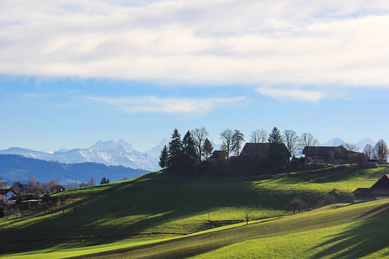 Emmental with Bernese alps