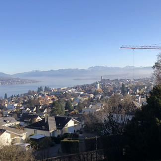 The view from Park im Gruenen over Lake Zurich and the alps
