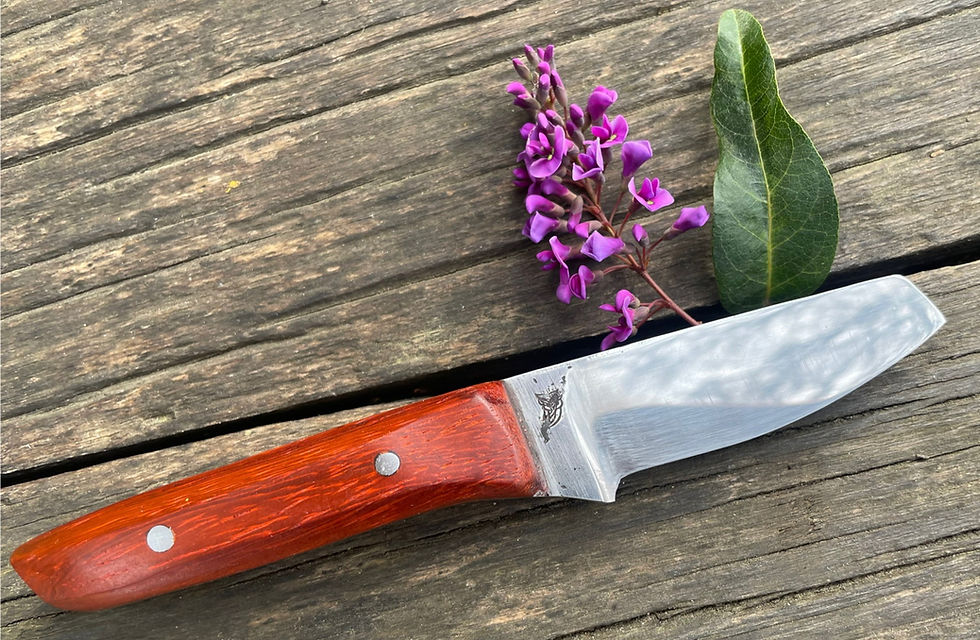 Cheese knife 1g.jpg