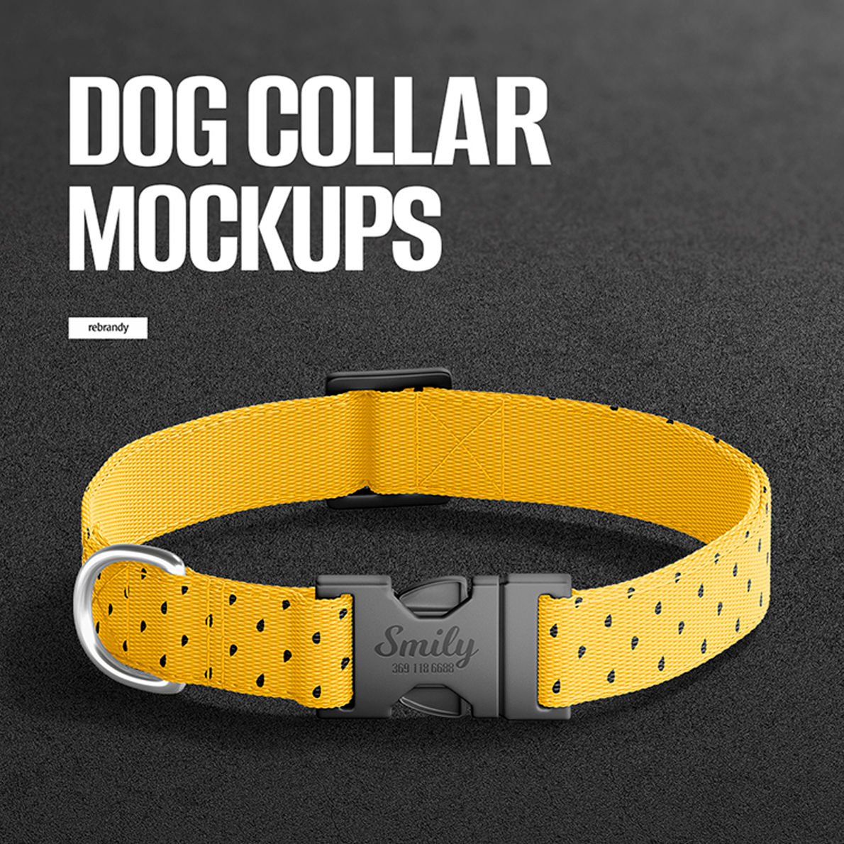 Dog Collar Mockups - Extended