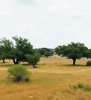 land for manufactured home in Texas